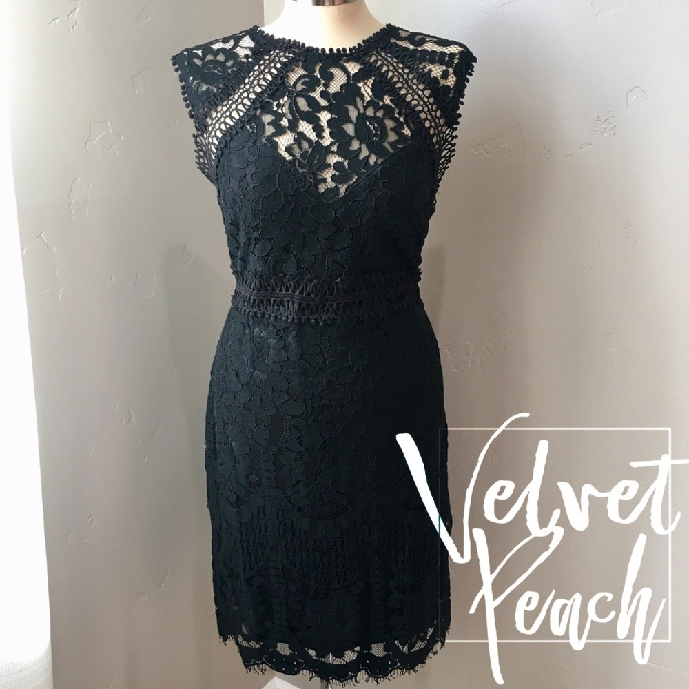 One left! Black Lace Detail Dress - Picture 5 of 8